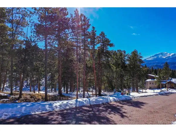 271 Thunder, Woodland Park, CO 80863