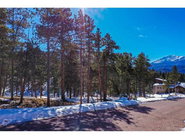 271 Thunder, Woodland Park, CO 80863