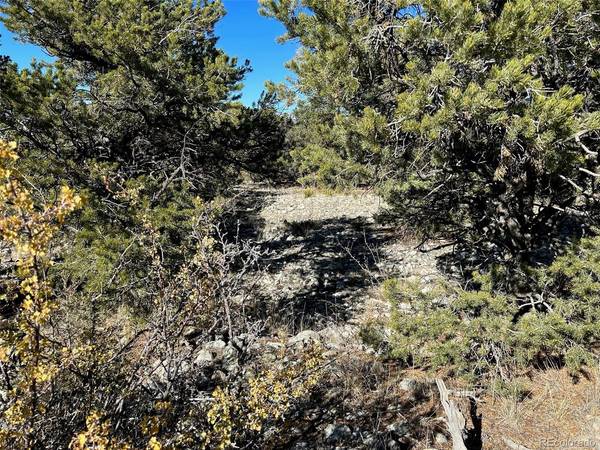 3 Mill Run, Mosca, CO 81146