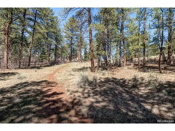 8173 Bannock, Larkspur, CO 80118