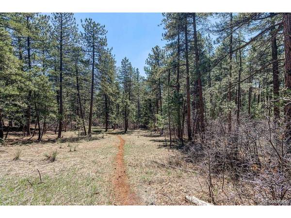 8173 Bannock, Larkspur, CO 80118
