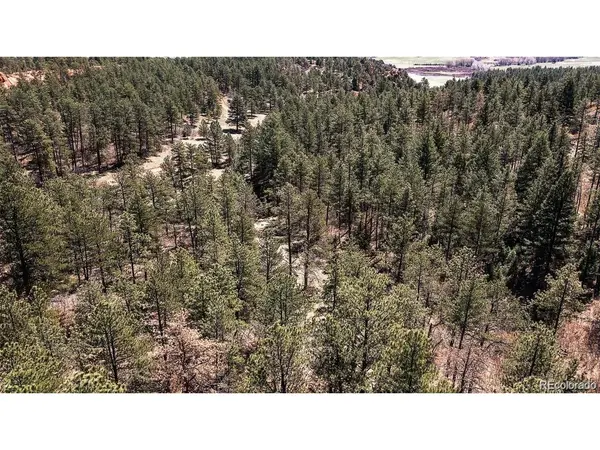 8173 Bannock, Larkspur, CO 80118