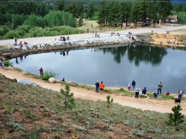 98 Wilkins, Bailey, CO 80421