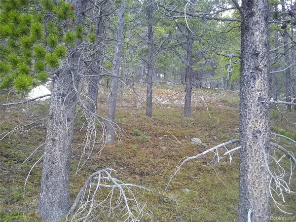 417 Glory Hole, Idaho Springs, CO 80452