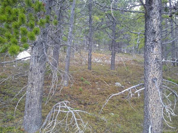 417 Glory Hole, Idaho Springs, CO 80452