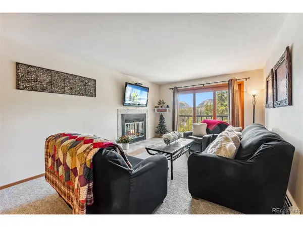 Address not disclosed, Silverthorne, CO 80498