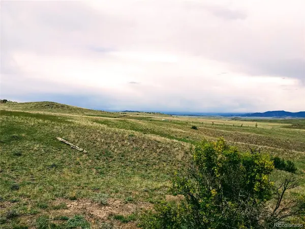 0 Cahokia, Hartsel, CO 80449