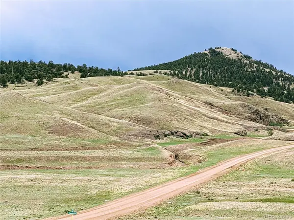 0 Cahokia, Hartsel, CO 80449