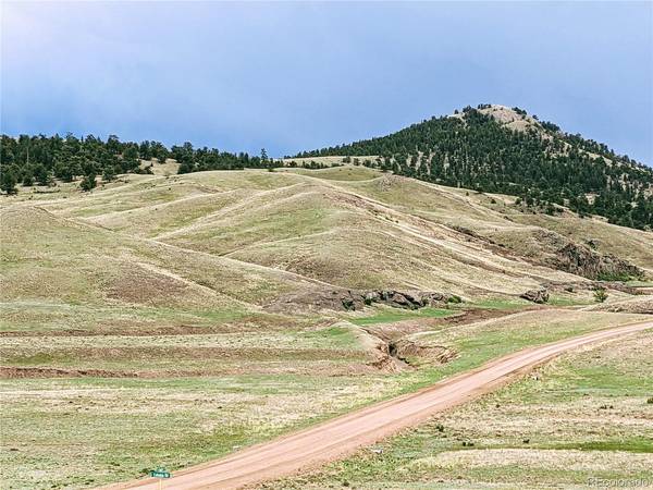 0 Cahokia, Hartsel, CO 80449