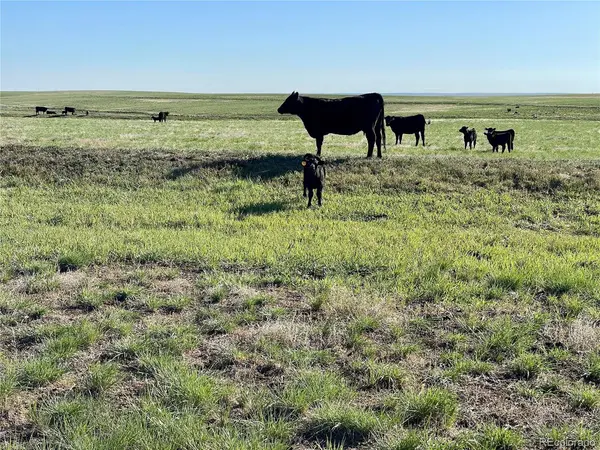 9 County Road 166, Deer Trail, CO 80105
