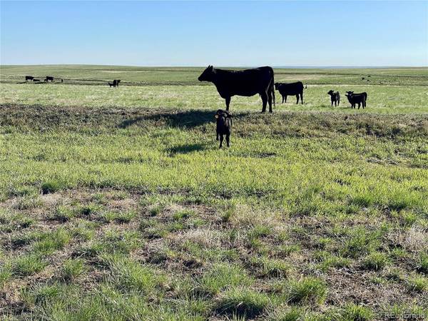 9 County Road 166, Deer Trail, CO 80105