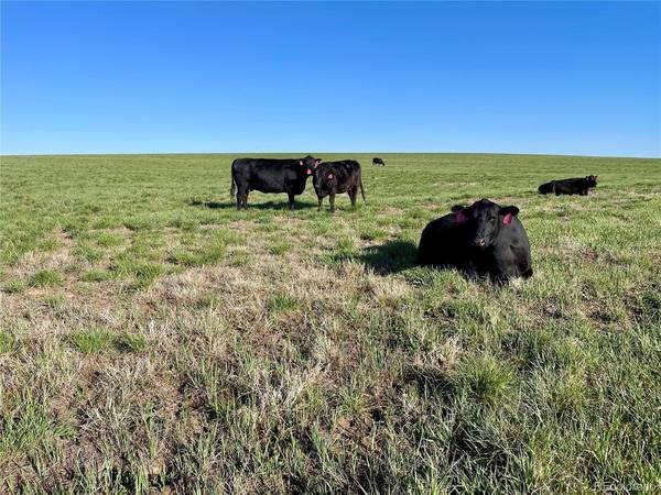 9 County Road 166, Deer Trail, CO 80105