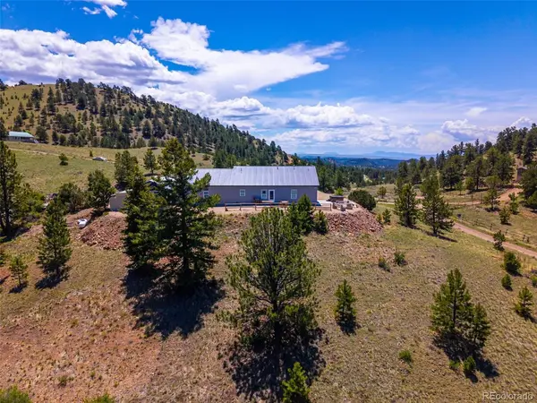 333 Della Fox, Westcliffe, CO 81252