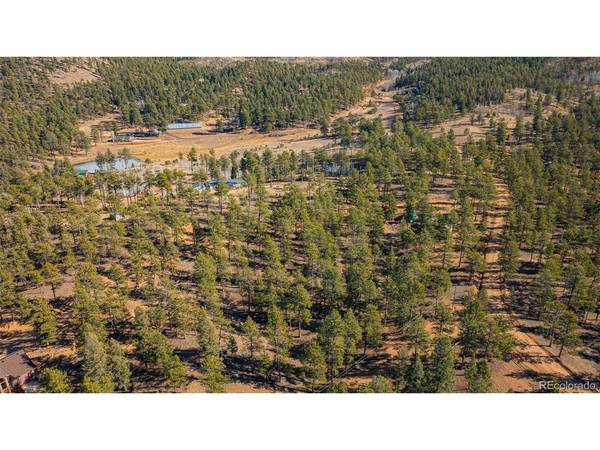 113 Schmittel, Sedalia, CO 80135