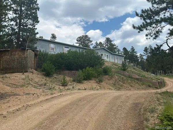 374 Hickory Creek, Divide, CO 80814