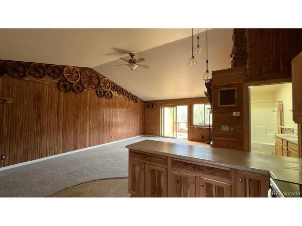 303 Virginia #E, Bailey, CO 80421
