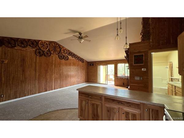 303 Virginia #E, Bailey, CO 80421