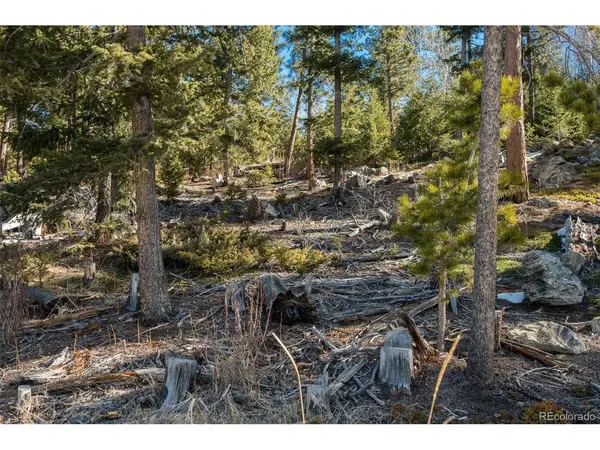 Granite Crag, Evergreen, CO 80439
