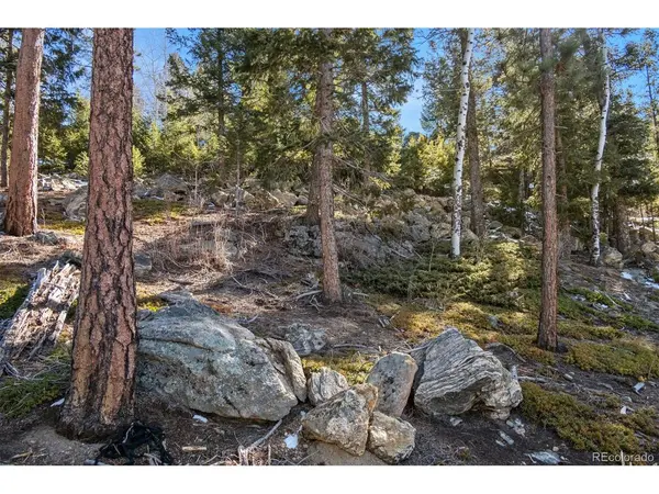 Granite Crag, Evergreen, CO 80439