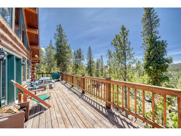 649 County Road 21 #62, Leadville, CO 80461