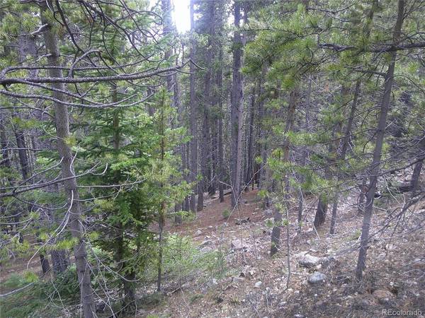 440 Hillside, Idaho Springs, CO 80452