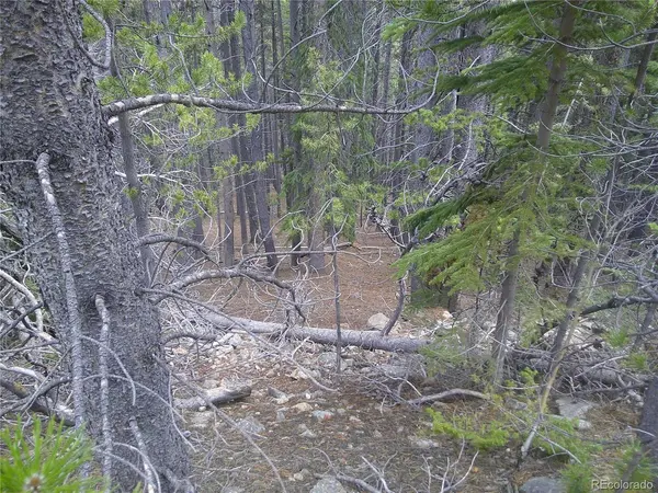 440 Hillside, Idaho Springs, CO 80452