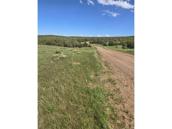 90 River Ridge Ranch, Walsenburg, CO 81089