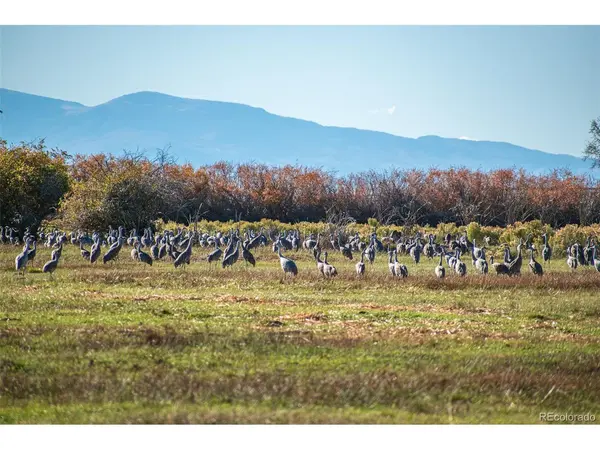 0 County Road 15.5, Blanca, CO 81123