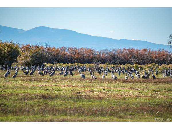 0 County Road 15.5, Blanca, CO 81123