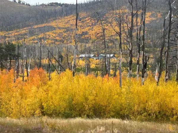 1944 Strauss, Fort Garland, CO 81133