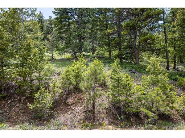 1259 Chute, Golden, CO 80403