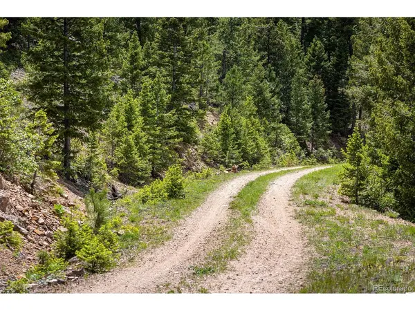 1259 Chute, Golden, CO 80403