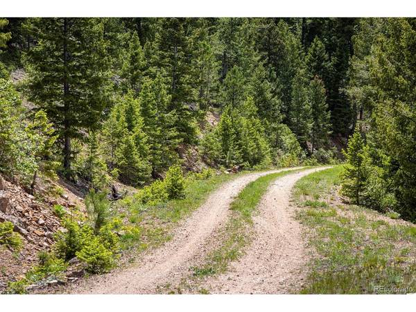 1259 Chute, Golden, CO 80403