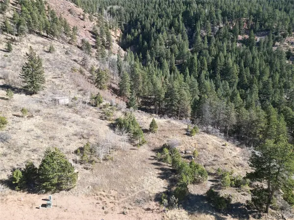 19 Blue Haven, Woodland Park, CO 80863
