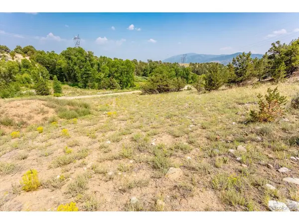 7921 Cozart, Salida, CO 81201