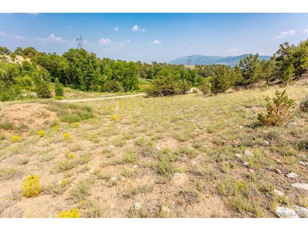 7921 Cozart, Salida, CO 81201