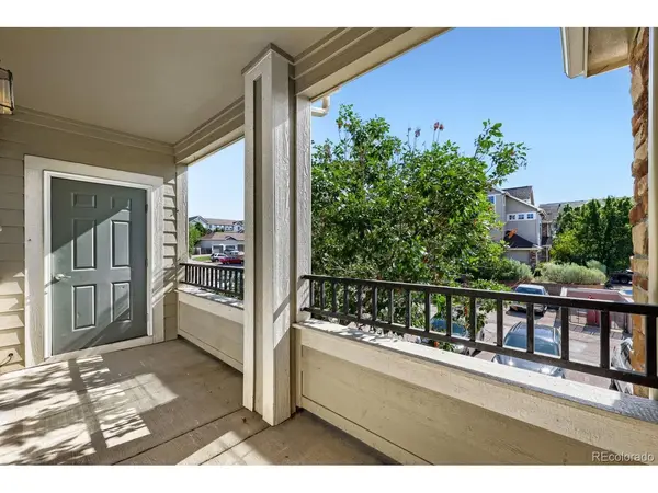 474 Black Feather #413, Castle Rock, CO 80104