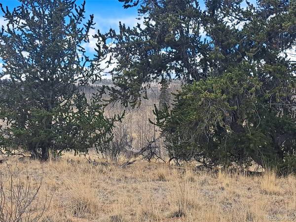 499 Kiowa, Como, CO 80432