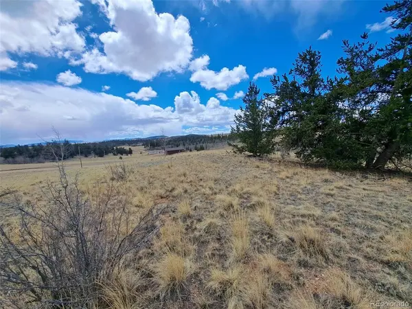 499 Kiowa, Como, CO 80432