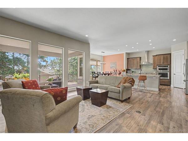 16249 Thunder Cat, Monument, CO 80132
