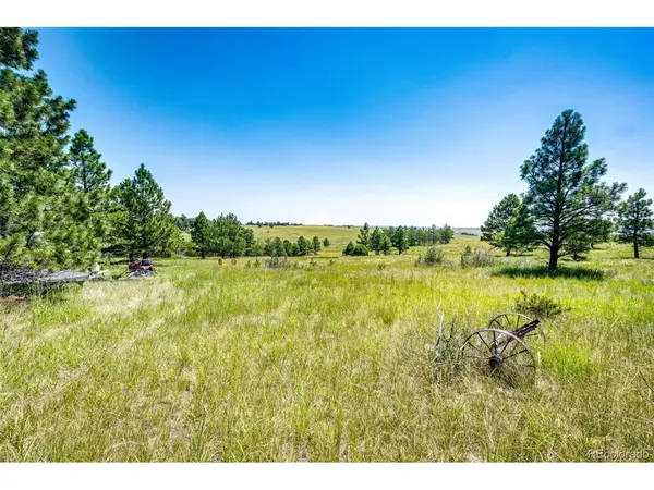 13123 Wilderness, Kiowa, CO 80117