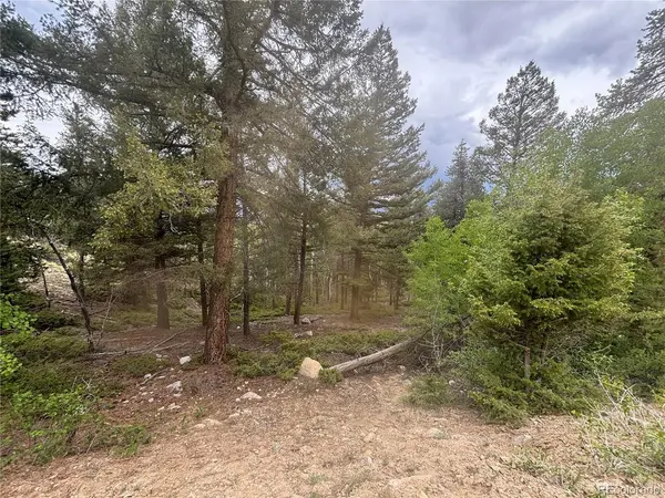 30304 Aspen Turn, Buena Vista, CO 81211