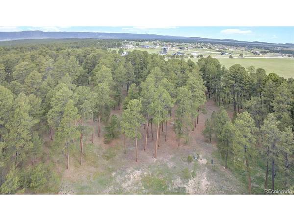 3930 Serenity, Colorado Springs, CO 80908