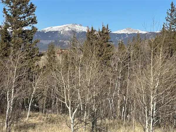 280 Welsh Cob, Jefferson, CO 80456