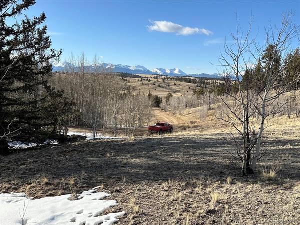 280 Welsh Cob, Jefferson, CO 80456