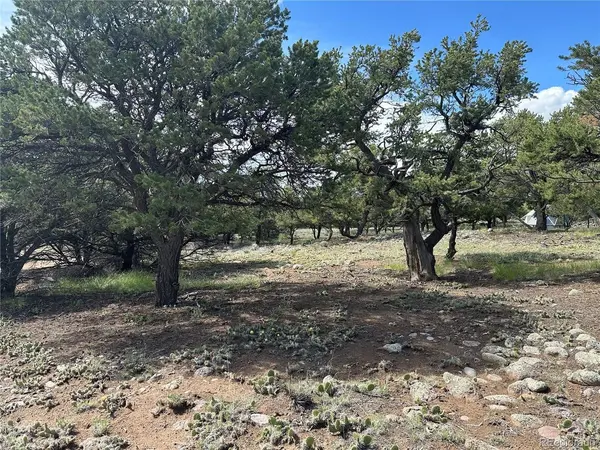 3694 Enchanted, Crestone, CO 81131