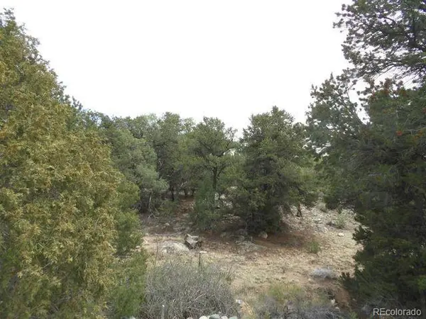 915 Big Timber Overlook, Crestone, CO 81131