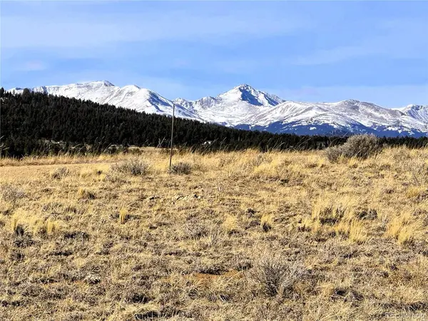 620 Wagon Wheel, Hartsel, CO 80449