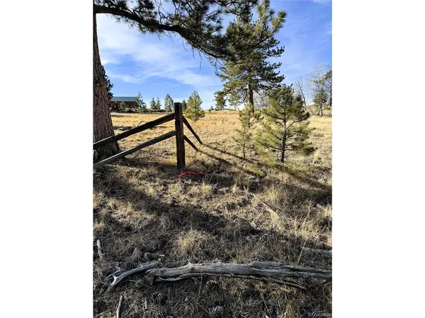 620 Wagon Wheel, Hartsel, CO 80449