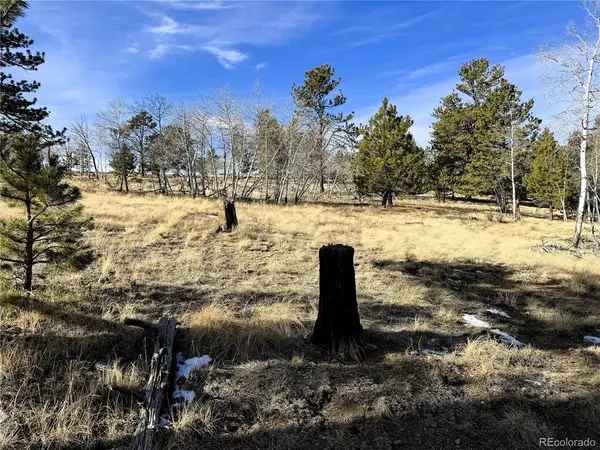 620 Wagon Wheel, Hartsel, CO 80449